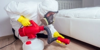 Bed Bug Treatment in Kitchener N2A 0A2