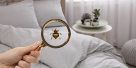Bed Bug Treatment in Montréal H2W 0A2