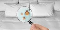 Bed Bug Treatment in Montréal H9X 0A2