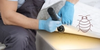 Bed Bug Treatment in Montréal H3J 0A2