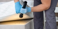 Bed Bug Treatment in Surrey V1M 3B5