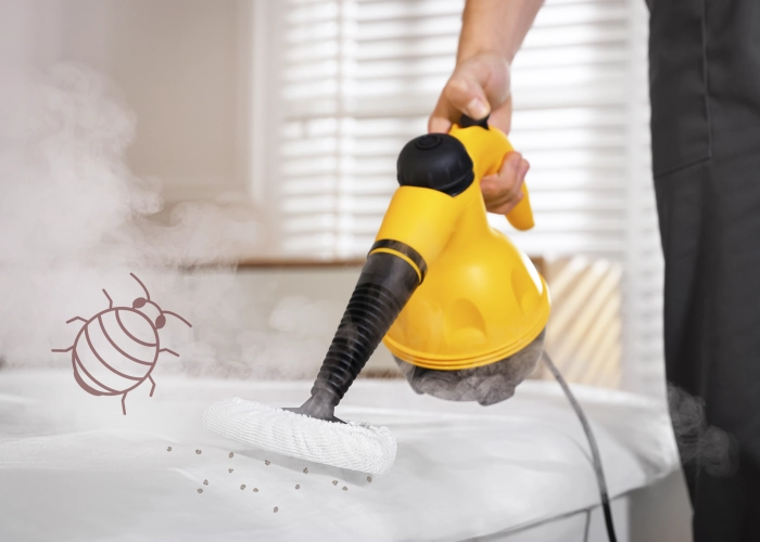 Bed Bug Treatment in Québec G0A 1H0